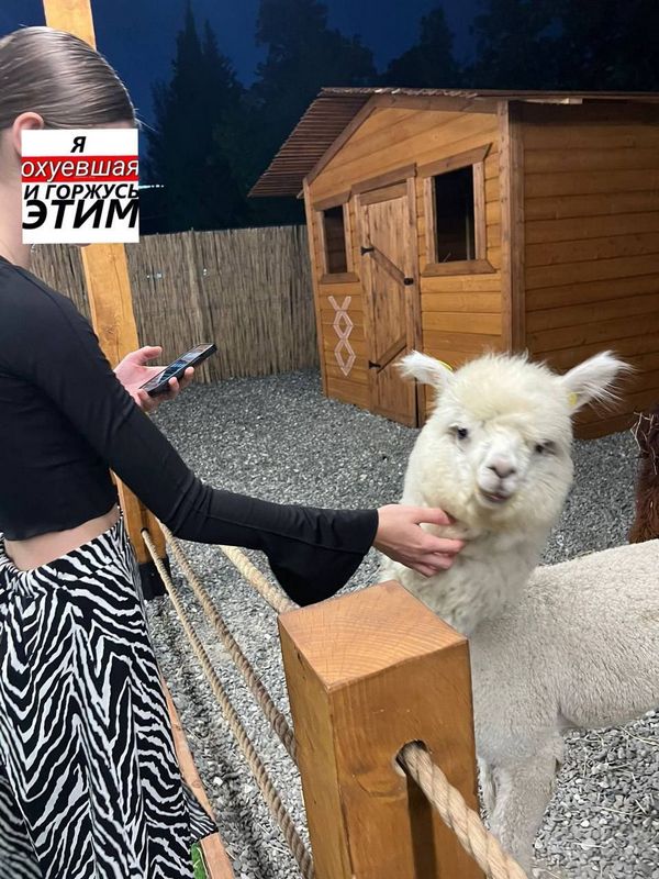 Знакомства в телеграм нижний новгород для общения