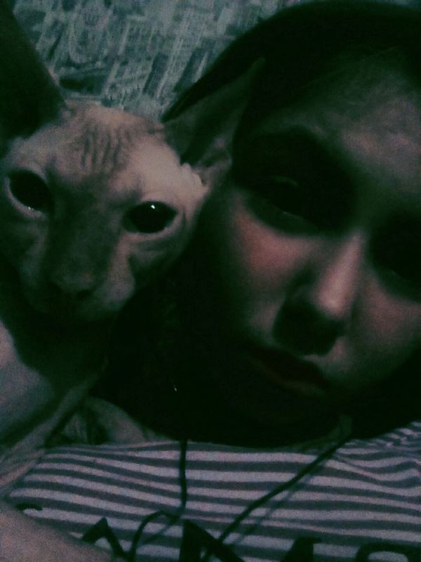 Знакомства во владикавказе через телеграм Знакомства во владикавказе через телеграм фото