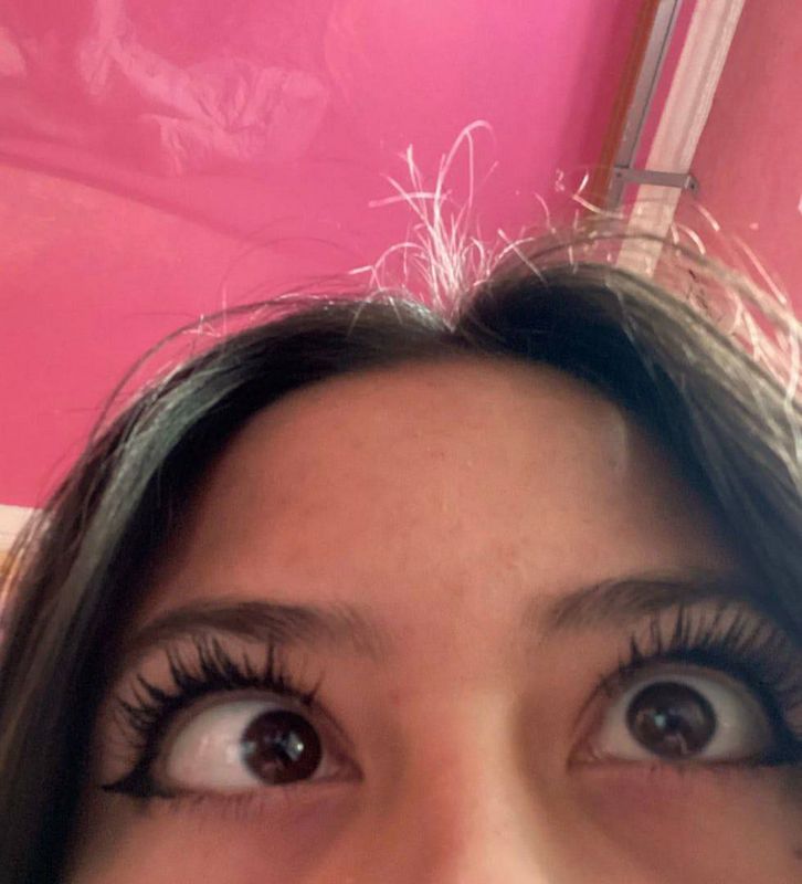 Телеграм знакомства спонсорство днр как это работает