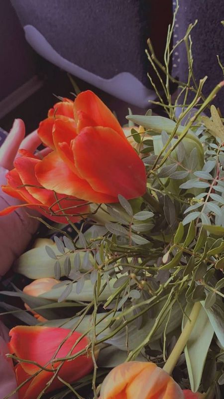 Чат знакомств Ростов-на-Дону в телеграме поиск общения