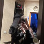 Лучшие телеграм чаты для знакомств и общения