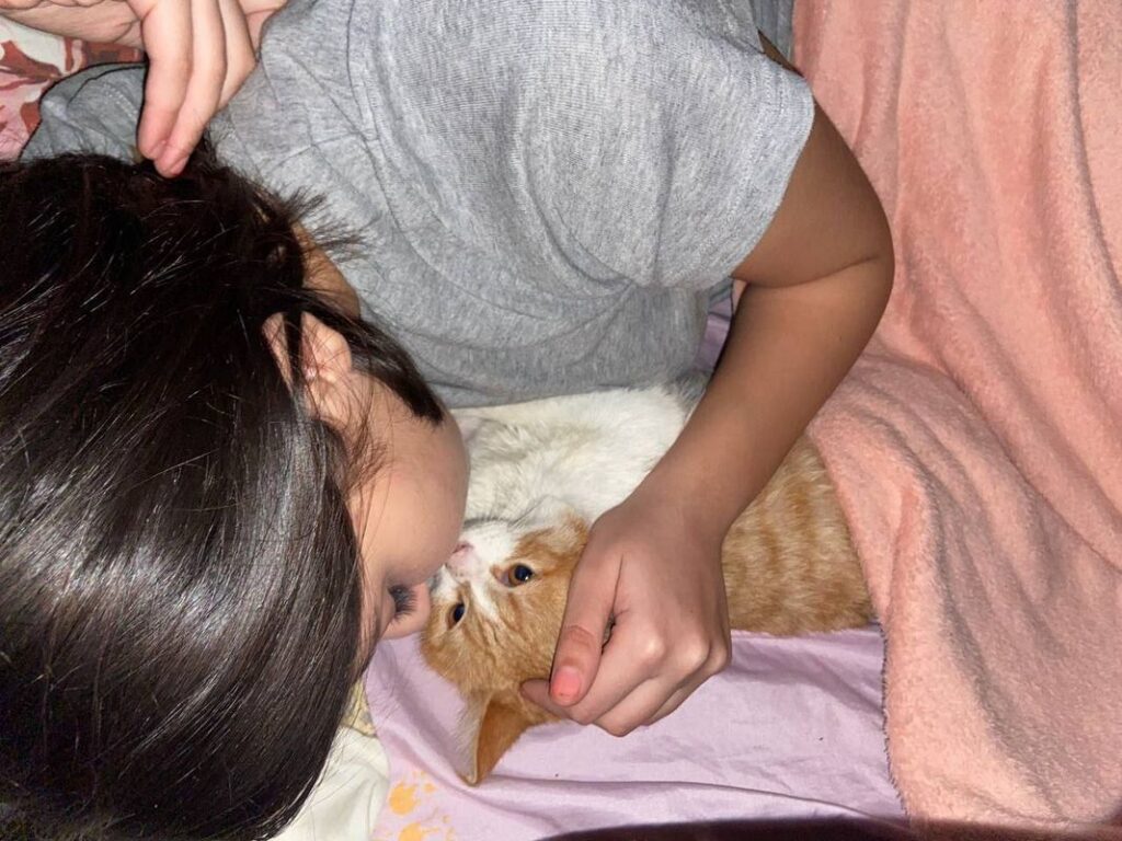 Знакомства в брянске для взрослых 32 года