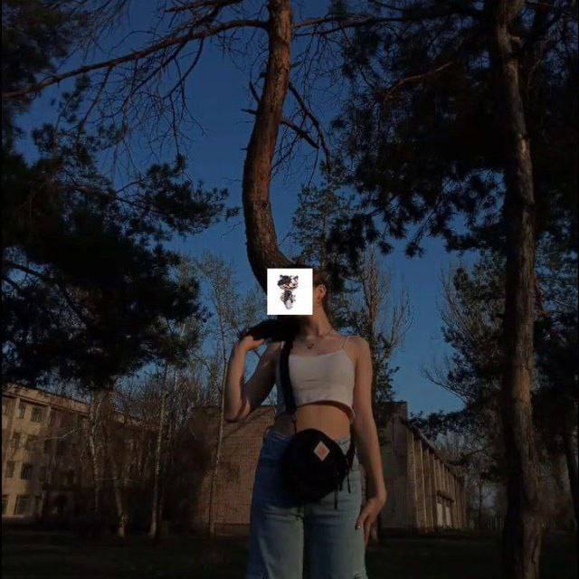 Знакомства в телеграм группах как найти друзей и общение Знакомства в телеграм группах как найти друзей и общение фото