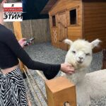 Знакомства в телеграм нижний новгород для общения