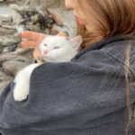 Знакомства в телеграм как общаться и найти друзей