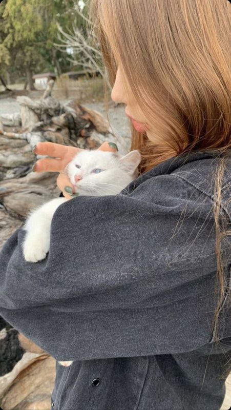 Знакомства в телеграм как общаться и найти друзей Знакомства в телеграм как общаться и найти друзей фото