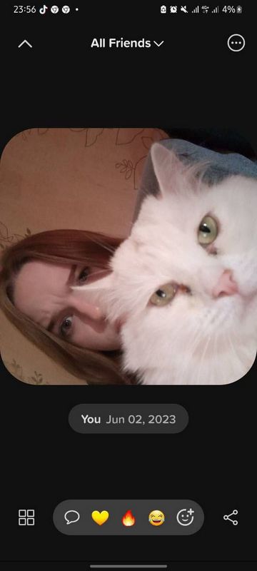 Госпожа знакомства спб телеграм поиск доминант