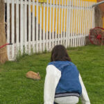 Вирт знакомство в телеграм как найти общение онлайн