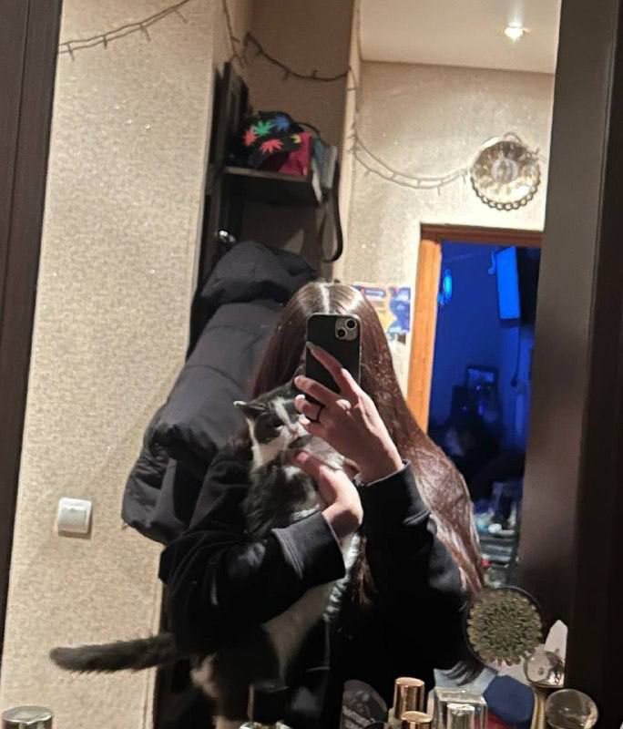 Лучшие телеграм чаты для знакомств и общения