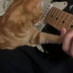 Свинг знакомства в телеграм как найти пару