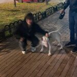 ТГ чаты для общения и знакомств поиск и выбор