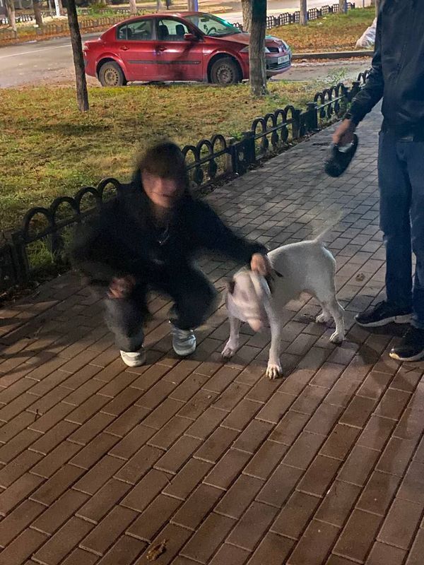 ТГ чаты для общения и знакомств поиск и выбор ТГ чаты для общения и знакомств поиск и выбор фото